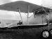 Pfalz D.IIIa 6050/17 (0156-015)